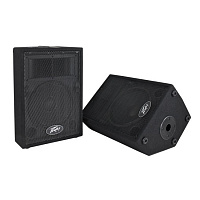PEAVEY PVi 10