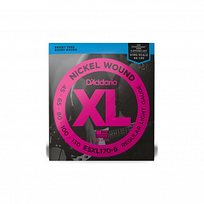 D'ADDARIO ESXL170-5