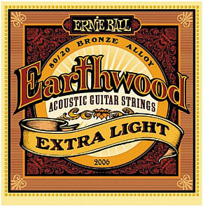 ERNIE BALL P02006