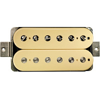 DIMARZIO DP211CR