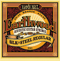 ERNIE BALL P02043