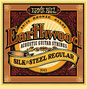 ERNIE BALL P02043