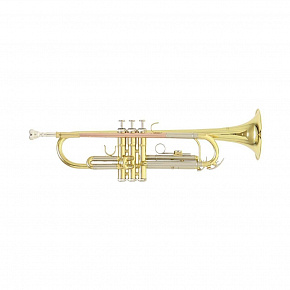 ROY BENSON TR-202 Bb