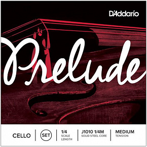 D'ADDARIO J1010-1/4M