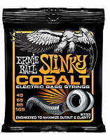 ERNIE BALL P02733