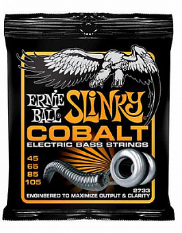 ERNIE BALL P02733