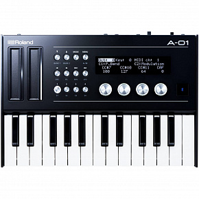 ROLAND A-01K