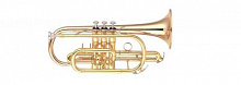 YAMAHA YCR-4330G