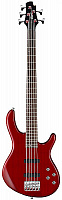 CORT ACTION V PLUS TR