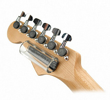 PLANET WAVES PWGS-DSL