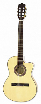ARIA A-48CE N