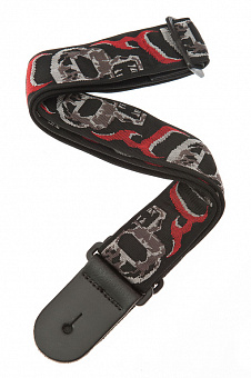 PLANET WAVES 50F02