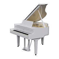 ROLAND GP 9M PW