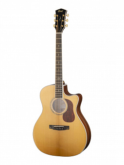 CORT Gold-A8-WCASE-NAT