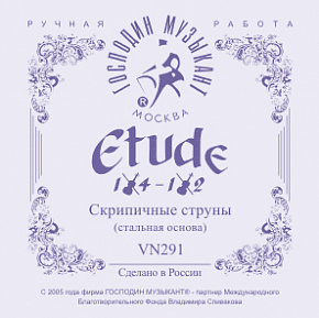 �������� �������� VN291