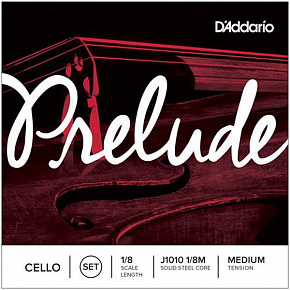 D'ADDARIO J1010 1/8M