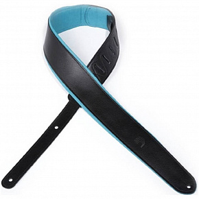 PLANET WAVES 25PLC01-DX