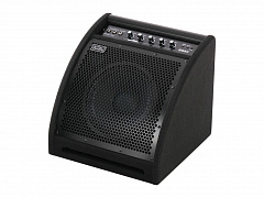 SOUNDKING DS50