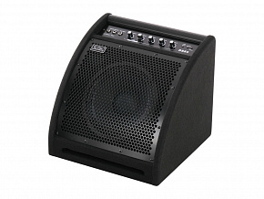 SOUNDKING DS50
