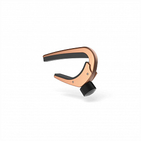 PLANET WAVES PW-CP-02MBR
