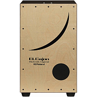 ROLAND EC-10