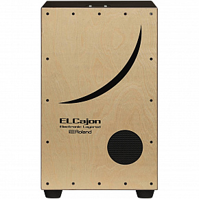 ROLAND EC-10