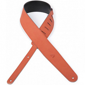 PLANET WAVES 25VLC03-DX