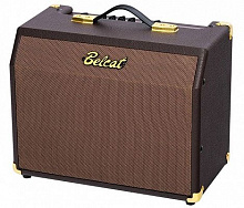 BELCAT Acoustic-25RC