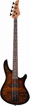 SCHECTER C-4 STANDARD TB