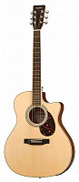 ROOT NOTE RGA300CE-NS