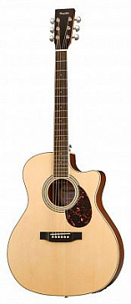 ROOT NOTE RGA300CE-NS