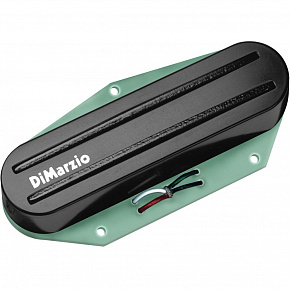 DIMARZIO DP384