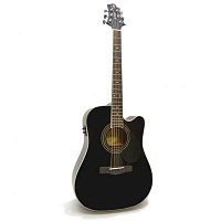 GREGBENNETT GD100SCE/BK