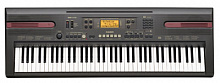 CASIO WK-110