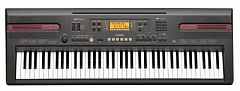 CASIO WK-110