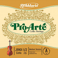 D'ADDARIO J5901-1/2M-B10