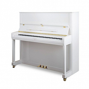 PETROF P 131M1(0001)