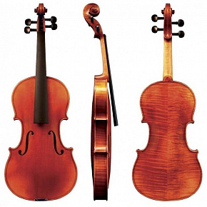 GEWA Maestro 41