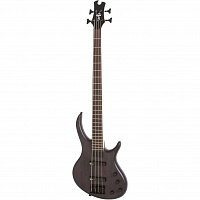 EPIPHONE Toby Deluxe-IV Bass TKS