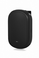 TANNOY DVS 401