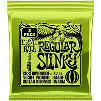 ERNIE BALL P03221