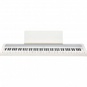 KORG B2+ WHITE
