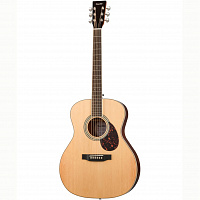 ROOT NOTE RGA300-NT