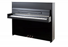 PETROF P 118S1-Silver(0801)