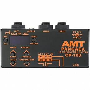 AMT CP-100