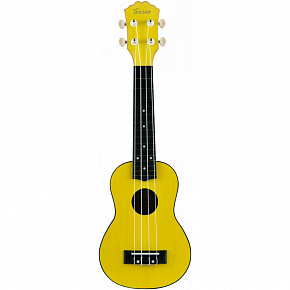 TERRIS PLUS 50 YW
