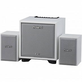 ROLAND CUBE-MONITOR-110-WH