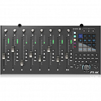 ICON P1-M