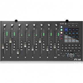 ICON P1-M