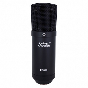 SOUNDKING EC810